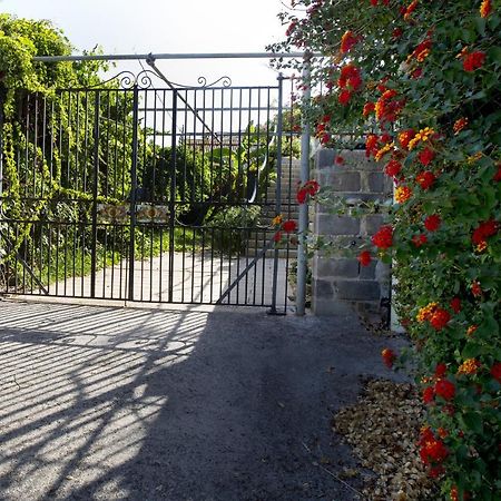 Villa Con Piscina Vista Mare Santo Stefano  ภายนอก รูปภาพ